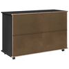vidaXL Rolling Cabinet Black 100 x 39 x 65.5 cm Solid Pine Wood