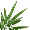 Product Thumbnail Image 4 of 5