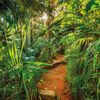 Komar Photo Mural Jungle Trail 368x254 cm