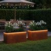 Product Thumbnail Image 2 of 17
