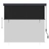 vidaXL Outdoor Roller Blind 160x250 cm Anthracite