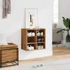 vidaXL Shoe Cabinet Artisan Oak 52x30x50 cm