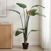 Product Thumbnail Image 2 of 6