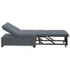 vidaXL Sofa Bed Dark grey 67 x 194 x 38 cm Velvet