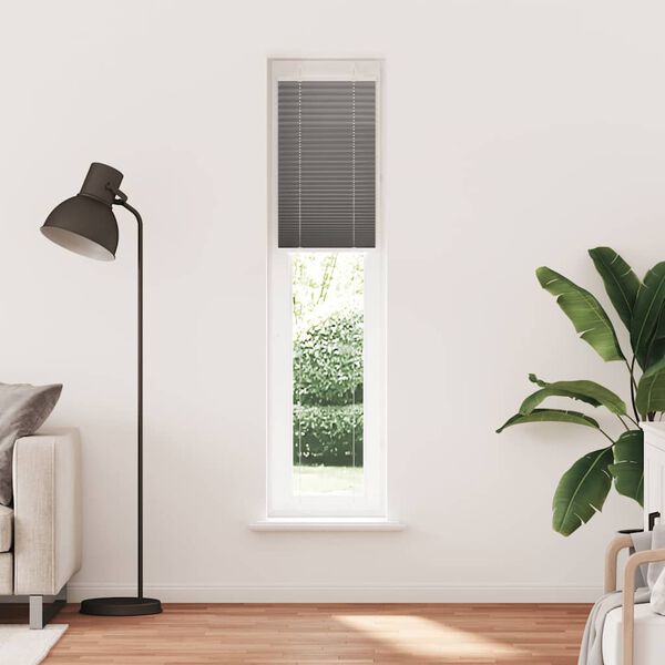 vidaXL Pleated Blind Anthracite 40x200 cm Fabric Width 39.4 cm Polyester
