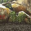 Product Thumbnail Image 2 of 5