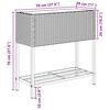 Product Thumbnail Image 12 of 12