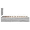 Product Thumbnail Image 9 of 14