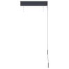 vidaXL Outdoor Roller Blind 60x250 cm Anthracite