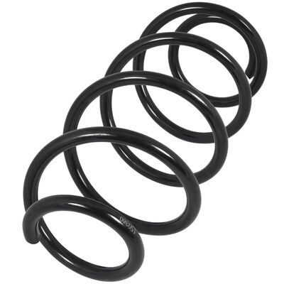 Suspension Springs for Ford Set of 2