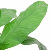 Product Thumbnail Image 2 of 4