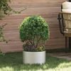 vidaXL Planter Ring Silver 30 x 30 x 20 cm Stainless Steel