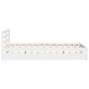 Product Thumbnail Image 5 of 12