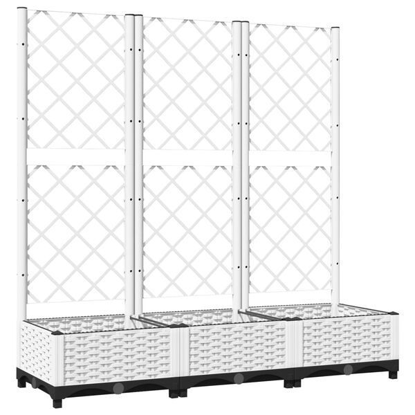 Showing Product Image 1 of 8
