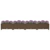 vidaXL Raised Bed 160x40x23 cm Polypropylene