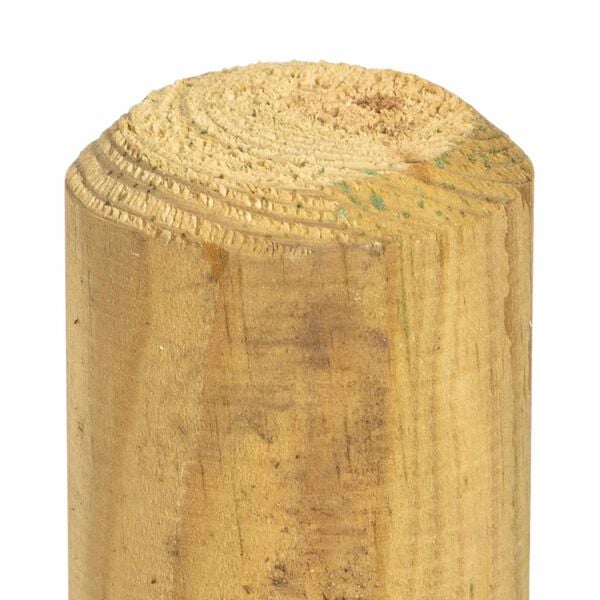 Showing Product Image 3 of 5