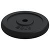 vidaXL Weight Plate 40 kg Cast Iron