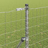 Product Thumbnail Image 4 of 15