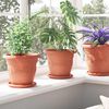 Product Thumbnail Image 4 of 12