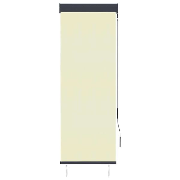 vidaXL Outdoor Roller Blind 60x250 cm Cream