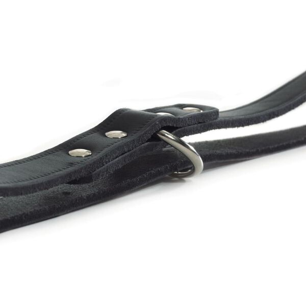 Beeztees Training Leash Leather Black 200x1.8 cm 736392