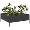 Product Thumbnail Image 3 of 10