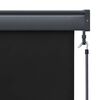 vidaXL Outdoor Roller Blind 80x250 cm Anthracite