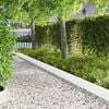 Product Thumbnail Image 2 of 9