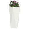 Product Thumbnail Image 3 of 12