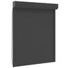 vidaXL Roller Shutter Manual Anthracite 120 x 150 cm
