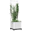 Product Thumbnail Image 7 of 8