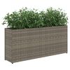 vidaXL Garden Planters with 2 Pots 2 pcs Grey 90x20x40 cm Poly Rattan