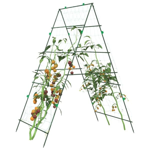 Showing Product Image 2 of 9