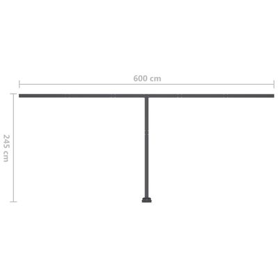 vidaXL Freestanding Manual Retractable Awning 600x350 cm Anthracite