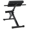 vidaXL Hyperextension Bench Black 101 x 70 x 71 cm Powder-coated steel