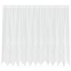 vidaXL Lace Curtain with Curtains Floral White 160 x 300 cm Polyester