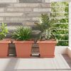 Product Thumbnail Image 2 of 12