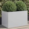 Product Thumbnail Image 2 of 12