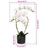 Product Thumbnail Image 5 of 5
