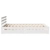 Product Thumbnail Image 8 of 11