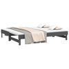 vidaXL Pull-out Day Bed without Mattress Grey 2x(80x200) cm