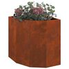 Product Thumbnail Image 3 of 14