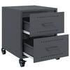 vidaXL Bedside Cabinets 2 pcs Anthracite 36x39x43.5 cm Steel