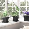 vidaXL Square Flower Pot 6 pcs Black 16 x 16 x 14 cm Plastic