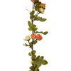 Product Thumbnail Image 6 of 7