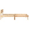 vidaXL Bed Frame without Mattress Solid Mango Wood 120x200cm