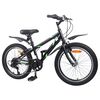 vidaXL Kids Bike 20'' 6-Speed for 6-11 Years Old Black