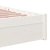 Product Thumbnail Image 8 of 10