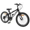 vidaXL Mountain Bike 20'' 6-Speed for 5-8 Years Old Black