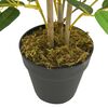Product Thumbnail Image 3 of 4